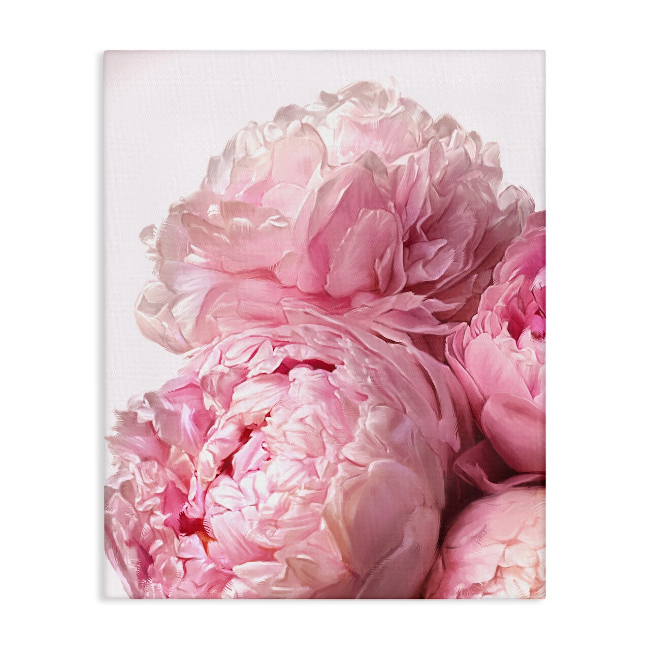 Stupell Industries Blush Pink Peonies Florals Canvas Wall Art